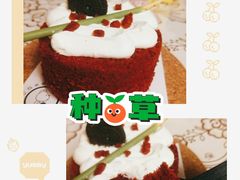 -CAKE BOSS 蛋糕老板(西单君太百货店)