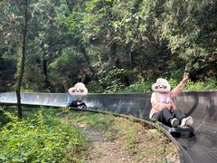 -八大处公园