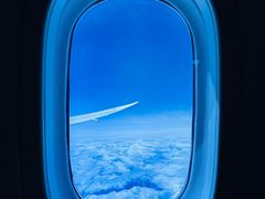 -新加坡航空公司(ION)