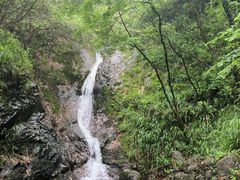 -味好美土菜(迎宾东路店)