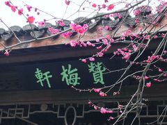 -杭州植物园