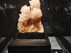 -中华赏石园
