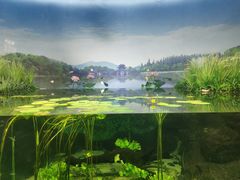 -江和美海洋公园