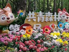 -上海共青森林公园