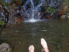 -羚羊峡古栈道森林公园