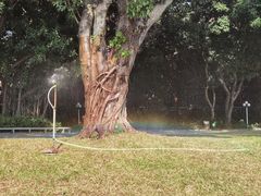 -人民公园(罗湖区)