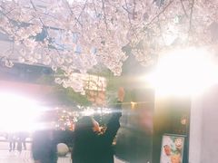 -玛格萝妮比萨屋(四平店)