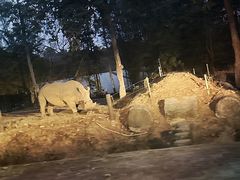 -清迈夜间动物园