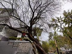 -广东温泉宾馆
