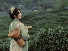 -十里琅珰