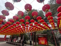 -皇罗禅寺