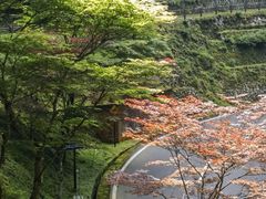 -比叡山