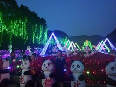 -东南花都花博园
