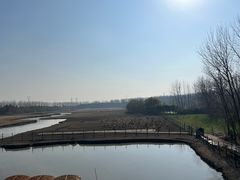 -溱湖国家湿地公园