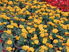 -长春公园(普阳街道)