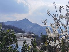 -樱桃山旅游景区