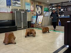 -青藤汗蒸时代会所