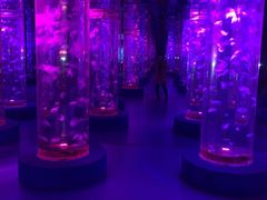 -梦幻海洋王国(吾悦广场张家港店)