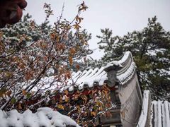 -香山公园