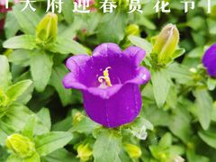 -成都市文化公园