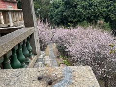 -草庵摩尼教遗址公园