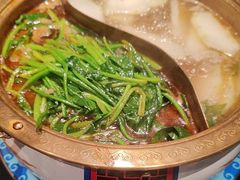 -大白羊蝎子馆(后沙峪山姆店)