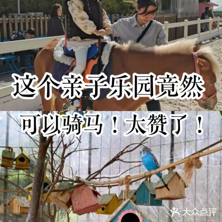 这个亲子乐园竟然可以骑马！太赞了！