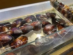 -十八字金银饰·拼豆·开蚌手工体验团建(君太百货店)