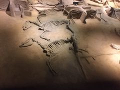 -洛阳周王城天子驾六博物馆