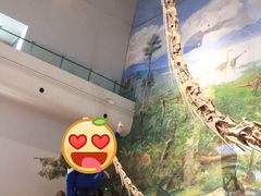 -自贡恐龙博物馆