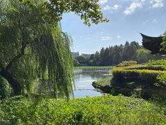 -范蠡湖公园