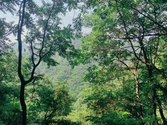 -秦岭风景区