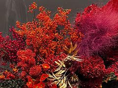 -HELEN FLORAL DESIGN(海上世界文化艺术中心店)