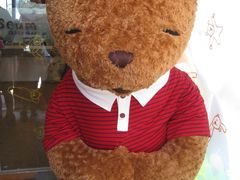 -济州岛泰迪熊博物馆