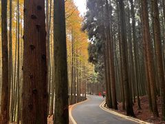 -山王坪喀斯特国家生态公园