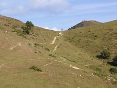 -大姆山草场