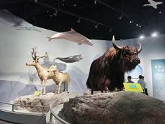 -中国湿地博物馆