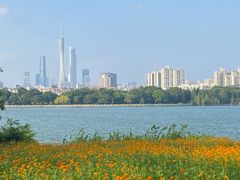 -海珠湖公园