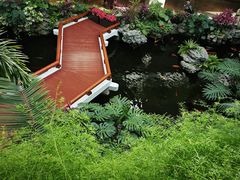 -广州白天鹅宾馆