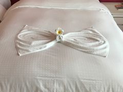 -广州花之恋城堡酒店