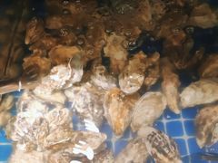 -鼎级香· 火锅烤肉自助丨涮烤一体(蜀山唯品会店)