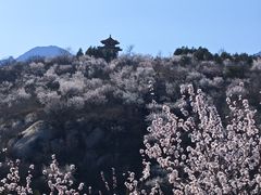 -白水寺森林公园