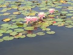 -厦门海湾公园游乐场
