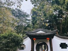 -深圳国际园林花卉博览园