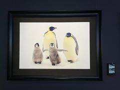 -罗红摄影艺术馆