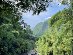 -蜀南竹海景区