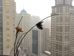 -大连富丽华大酒店·花都西餐厅