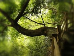 -山城巷传统风貌区