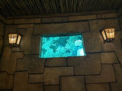 -翱翔飞越地平线