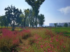 -汉长安城未央宫国家考古遗址公园